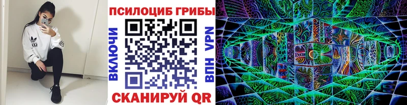 Галлюциногенные грибы мицелий  мега   Елабуга 